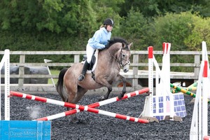 Class 2 -  Fences not above 2'